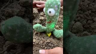 Cactus🌵me dost🥲ko kya ho gaya🥲🥹🤨shortsvideo [upl. by Akenna598]