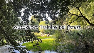 Autogenes Training bei Stress und Erschöpfung zur Erholung 20 Minuten Meditation [upl. by Ahsienyt]