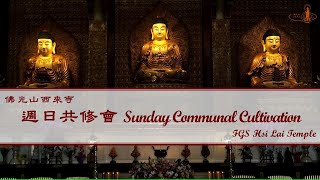 20241020【週日共修會：彌陀經 Sunday Communal Cultivation：Amitabha Sutra】佛光山西來寺 FGS Hsi Lai Temple [upl. by Ylrebmek]