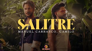 Manuel Carrasco Camilo  Salitre  LETRA [upl. by Derk]