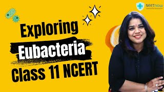 Eubacteria explained  Class 11 NCERT Biology [upl. by Bondon]