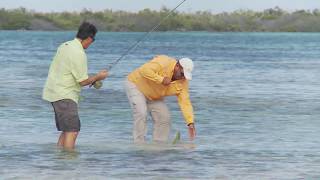 FLY FISHING for Bonefish in Cuba [upl. by Arza]