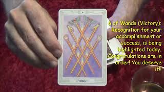 The Thoth Tarot 11824 Daily Tarot Reading [upl. by Loomis248]