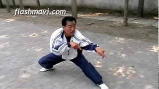 The Snatch Technique Wushu Praying Mants [upl. by Cohdwell]