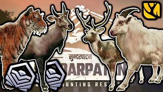 FINALLY DIAMOND BENGAL TIGER amp NILGAI PLUS ALBINO TAHR amp PIEBALD  DIAMOND BARASINGHA IN ONE HERD [upl. by Nyssa]