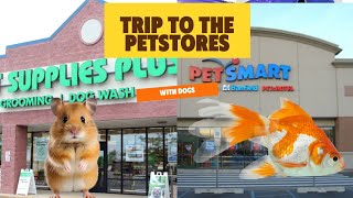 PetSmart  Pet supply plus Trip with Pitbulls [upl. by Geiss]