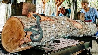 amazing discovery of old mahogany log full of dense fibers at sawmill [upl. by Dayle991]