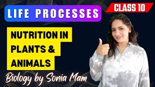 Life Processes 02  Nutrition in Plants amp Animals  Photosynthesis  Class 10 Biology CBSE  NCERT [upl. by Ardnama934]