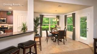 Tilson Homes  San Gabriel Model Home Tour [upl. by Laroy172]