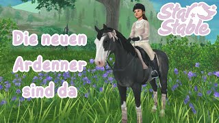 Ich kaufe die neuen Ardenner🌷 SSO  Ardenner Pferdekauf [upl. by Eluj]