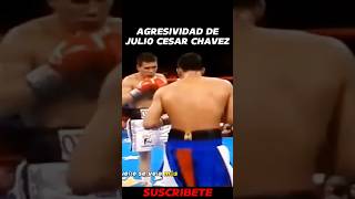 Cuando Chavez Causo Terror En Camacho 💀 boxing [upl. by Pryor408]