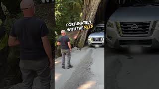 Car Gets Stuck Driving Through Redwood Trunk 😱 😭 [upl. by Chadabe927]