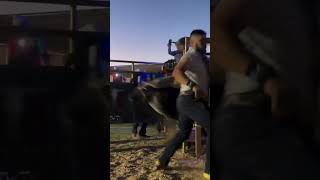 El toro más criticado REGRESAtoros torosbravos jaripeo bull ganado mascotas cow jaripeo [upl. by Nanaek]