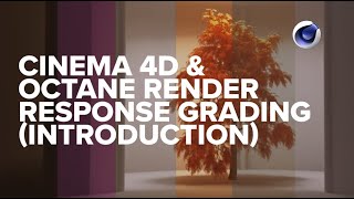 Cinema 4D amp Octane Render Color Response Grading Introduction [upl. by Nerita]