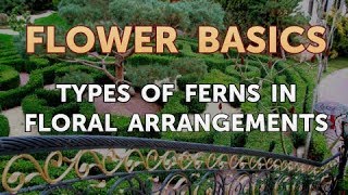 Types of Ferns in Floral Arrangements [upl. by Anh]