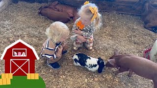 Day at the farm  kids pet rabbits pigs donkeys and goats explore the corn maze and corn crib [upl. by Anirtruc]