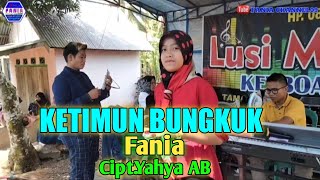 LAGU DAERAH JAMBI  KETIMUN BUNGKUK COVER FANIA  CIPTYAHYA AB  ARR DJ ERWIN [upl. by Aramenta255]