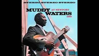 Muddy Waters at Newport 1960 Full Album [upl. by Bledsoe]