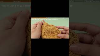 How to crochet PomPom Ear Flap Hatcrochet beaniecrochet for beginners [upl. by Attenreb209]