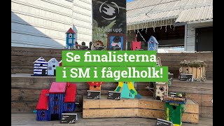 SM i fågelholk – vi presenterar årets finalister [upl. by Whit]