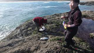 New Zealand Fishing Point  Opononi amp Bluff [upl. by Nalyk]