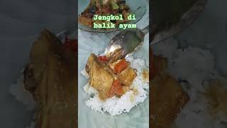 Makan siang musik song ayammasakkuning jengkolpedas [upl. by Ohcamac253]