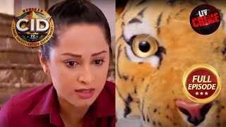 Team CID को मिला Tigers Eye में Missing Clue  CID  Silent Walls 17 Sep 2023 Full Episode [upl. by Leseil]