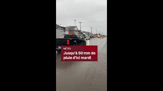 VIDÉOJOURNAL  18 décembre  Jusqu’à 50 mm de pluie dans les prochaines heures [upl. by Saxen]