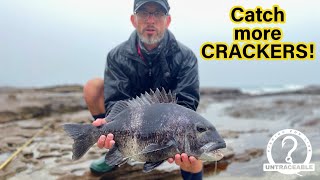 Catching Black Steenbras Musselcracker using catfish bait  PROOF our bait works [upl. by Ainekahs]