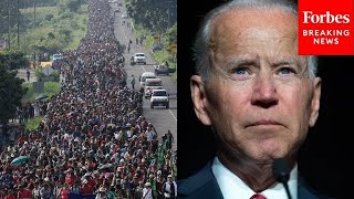 Biden Is The First President In The History Of This Nation To Do This On Border Tom Homan [upl. by Philoo]