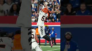 12 Insane Facts About the Cincinnati Bengals Bengals cincinnatibengals nfl youtubeshorts [upl. by Melodie]