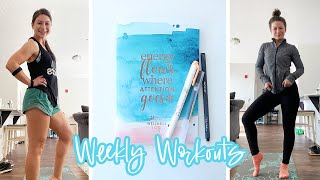 HEALTHY WORKOUT amp MEAL PLAN  ERIN CONDREN WELLNESS LOG  Hayle Santella [upl. by Ttihw775]