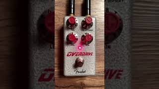 HAMMERTONE PEDALS  OVERDRIVE shorts [upl. by Rolland650]