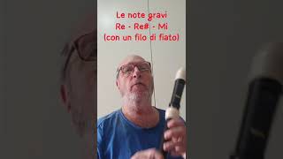 FLAUTO TENORE  suonare le note gravi Re  Re  Mi [upl. by Zitah]