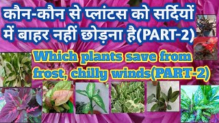 कौनकौन से प्लांटस को सर्दियों में बाहर नहीं छोड़ना हैpart2naturalenvironment331 [upl. by Maibach]