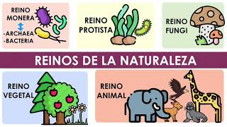 Los reinos de la naturaleza Características y ejemplos [upl. by Dayle]