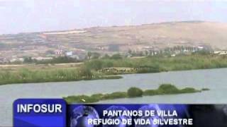 INFOSUR 290411  LOS PANTANOS DE VILLA [upl. by Arinaj]