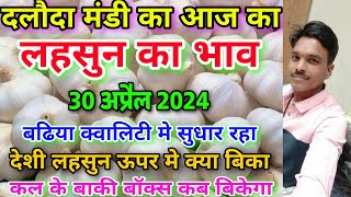 दलौदा मंडी लहसुन का भाव 30 अप्रैल 2024 aaj ka lahsun ka bhav garlic rate today deshi lahsun [upl. by Arreis376]