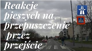 Reakcje pieszych na przepuszczenie przez przejście [upl. by Dur]