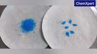 To Prepare Crystals of Copper Sulphate from the given impure sample of blue vitriol  CBSE  NCERT [upl. by Lochner]