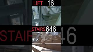 Comparison of Fatal Accidents in One Year Stairs vs Elevator [upl. by Kolivas873]