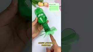 Learn Lifehacks Everyday shorts DreamScreenAI diy craft [upl. by Alit]