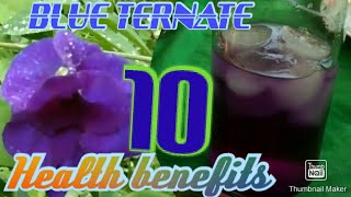 10 health benefits of Blue ternate tea [upl. by Emlin396]