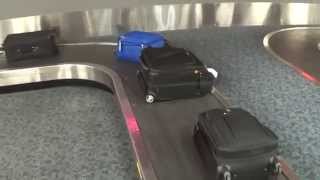 Baggage Claim at Ft LauderdaleHollywood International Airport Terminal 3 [upl. by Kenneth]