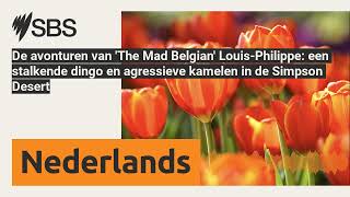 De avonturen van The Mad Belgian LouisPhilippe een stalkende dingo en agressieve kamelen in [upl. by Bibbie]