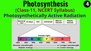 What is Photosynthetically Active Radiation  Plant Biology Made Easy [upl. by Amol110]