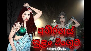 අභිරහස් සුළං වංගුව Abirahas sulan wanguwa stories sinhala dubbed cartoon sinhala holman katha [upl. by Akemhs]