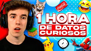 REACCIONO A 1 HORA de DATOS CURIOSOS [upl. by Oitaroh829]