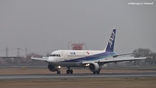 熊本空港 All Nippon Airways ANA Airbus A320200 JA8392 着陸 2013329 [upl. by Shirleen]