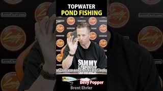 Pond Fishing Topwater Technique【Summer 06 07 08】【Fall Feed 09 10】 [upl. by Willet]